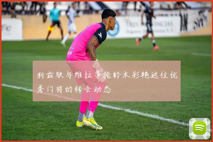 利兹联与维拉争抢铃木彩艳这位优秀门将的转会动态