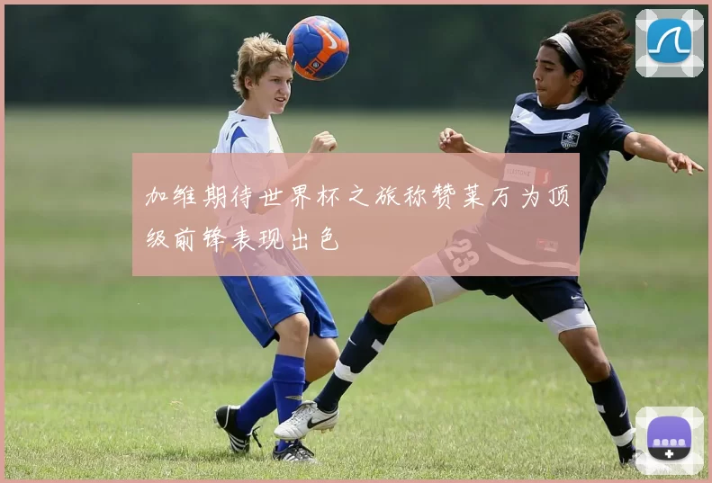 加维期待世界杯之旅称赞莱万为顶级前锋表现出色